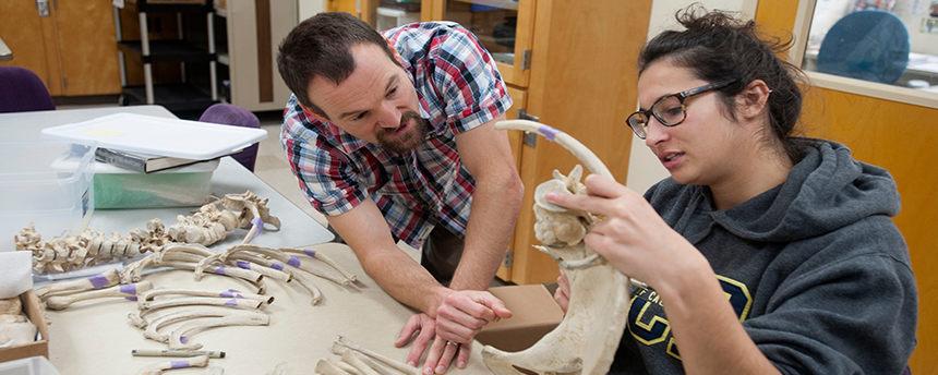 Danielle Kroll discusses the condition of gorilla bones with professor Tim Weaver in an anthropology class.