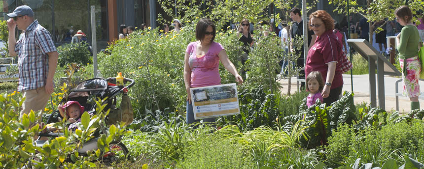 People of all ages walk through a garden on a sunny day