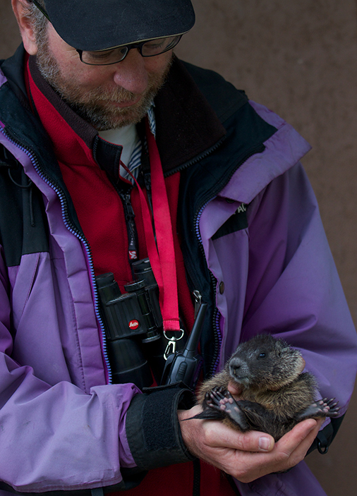 Daniel Blumstein holds a marmot.