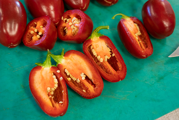 Cavity of jalapeño popper pepper