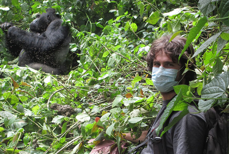 Damien Caillaud is near a gorilla