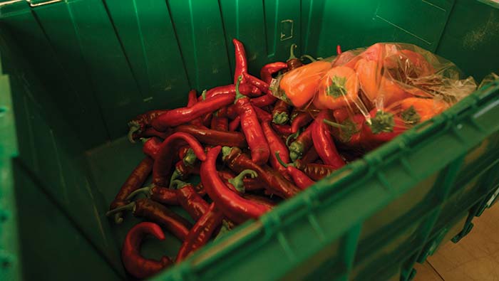 Peppers in a bin awaiting transport