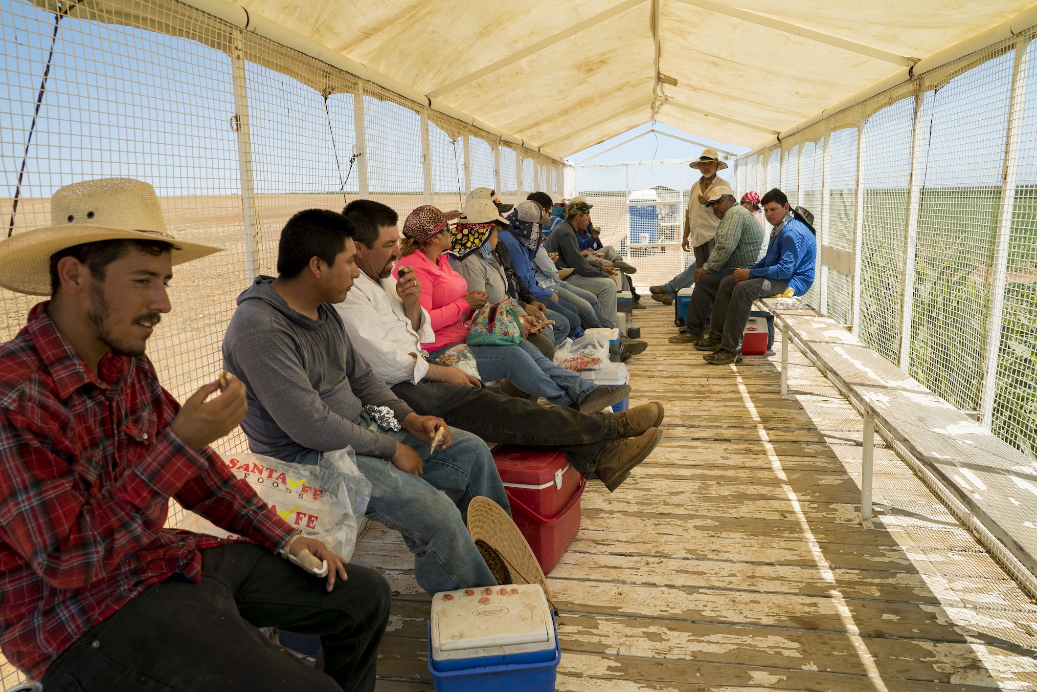 Workers seated along benches inside an open-sided covered farm trailer, holding lunches and coolers