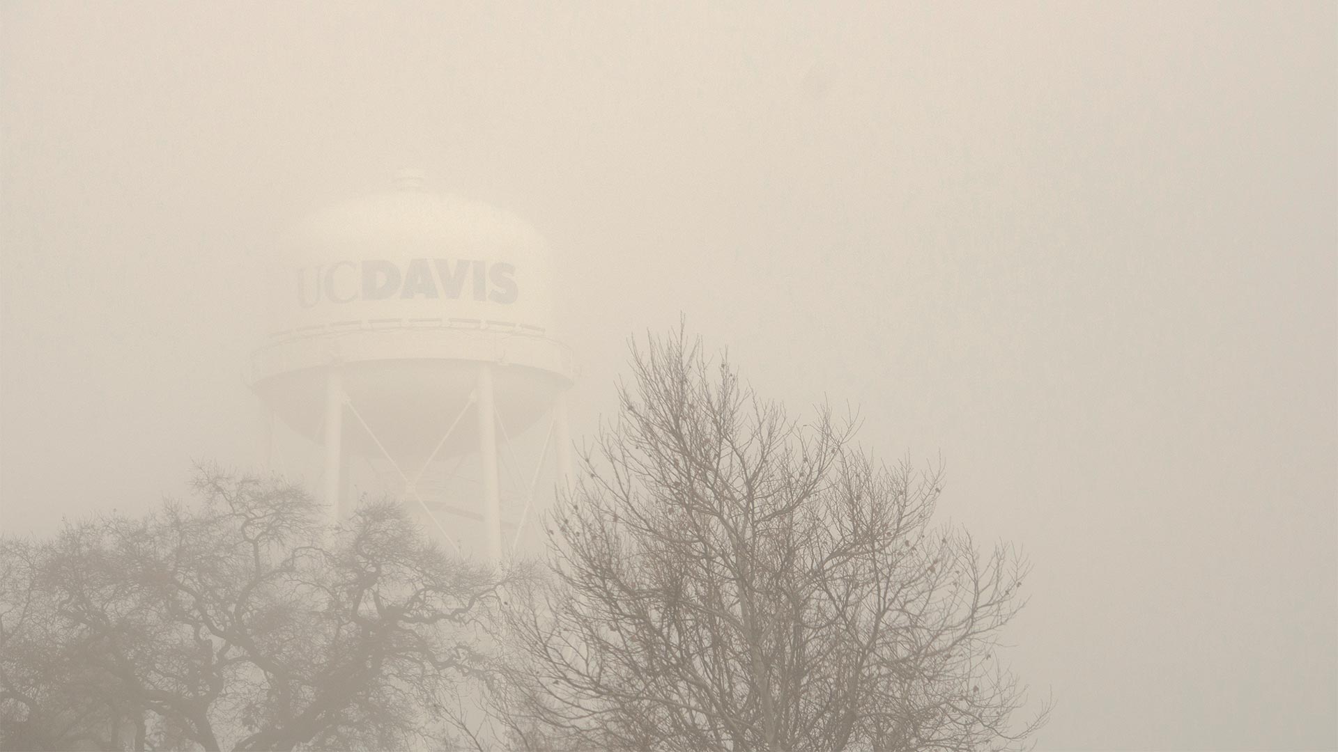 UC Davis water tower is barely visible through fog. Leafless tree branches are across the foreground.