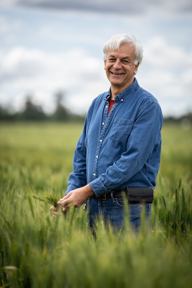 Smiling older man in blue shirt standing in a green wheat field