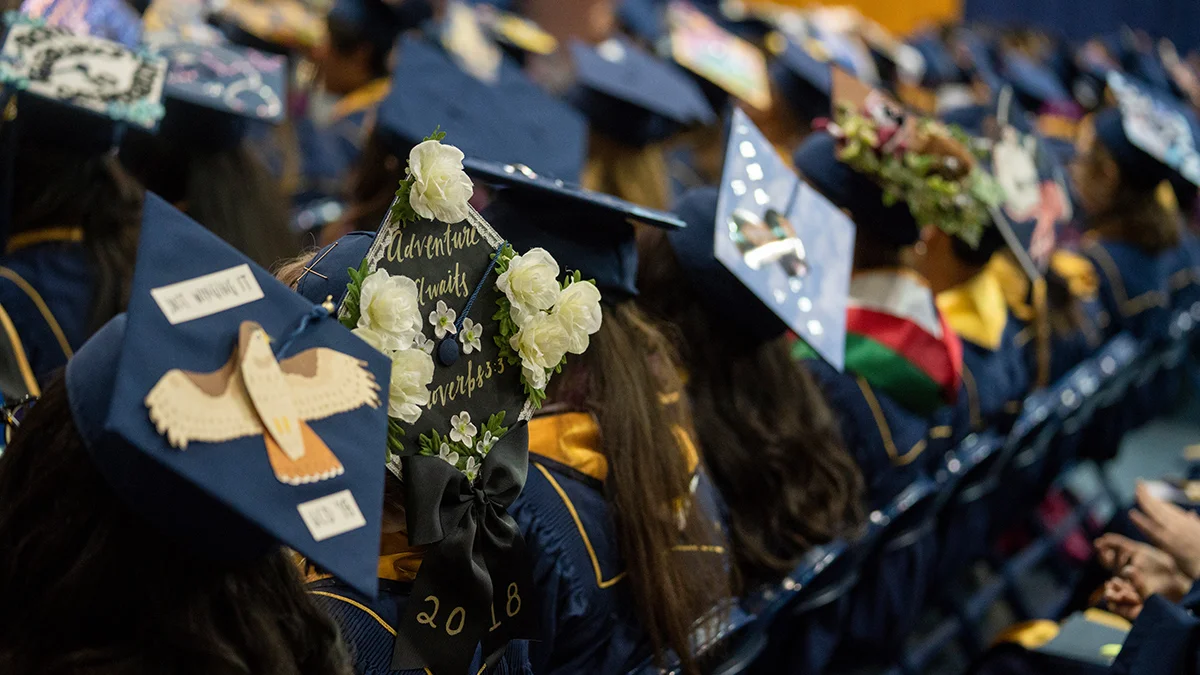 A view of a row of students sitting in a row wearing commencement regalia with their backs to the camera.