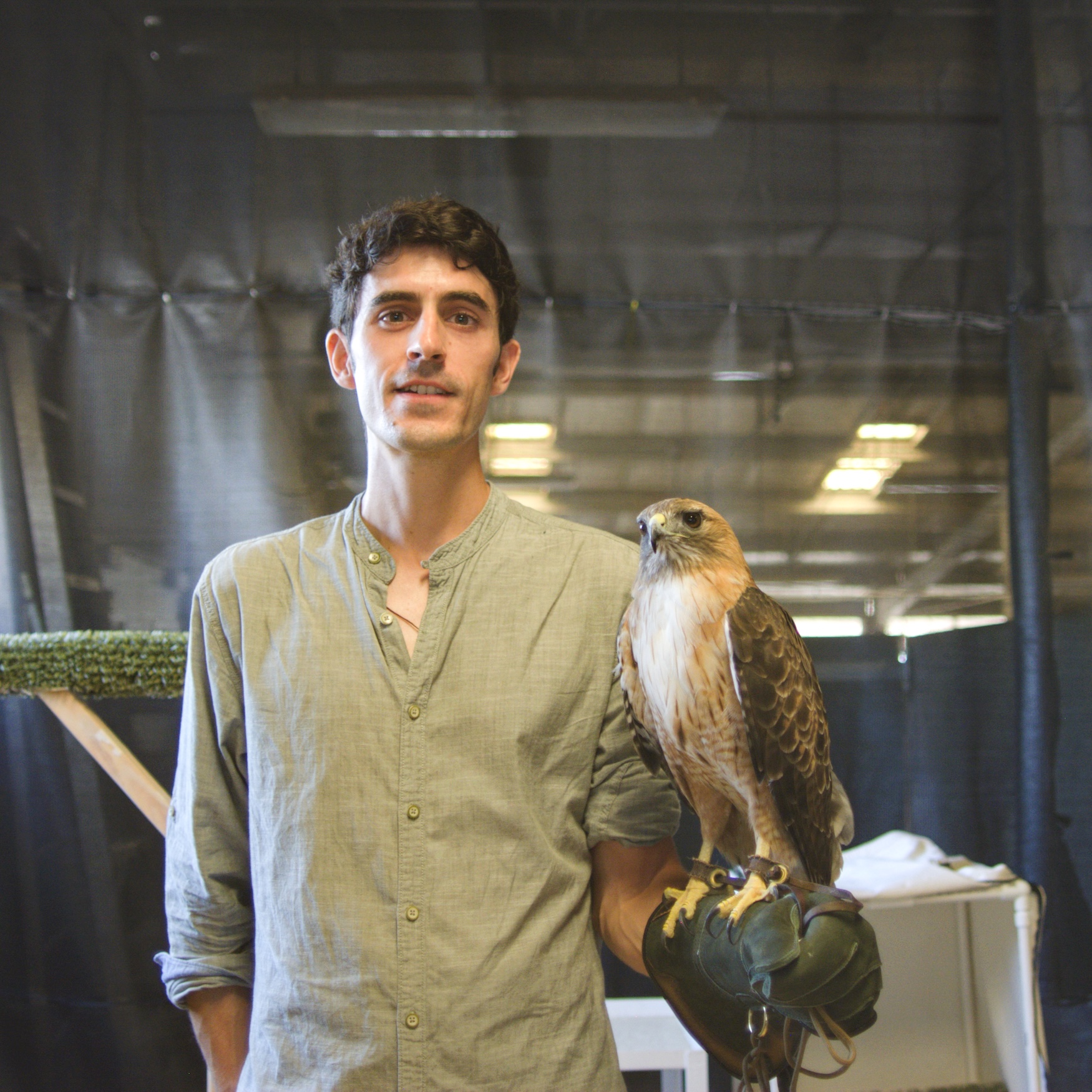 Alfonso Martínez-Carmena poses indoors with a hawk perched on his gloved arm