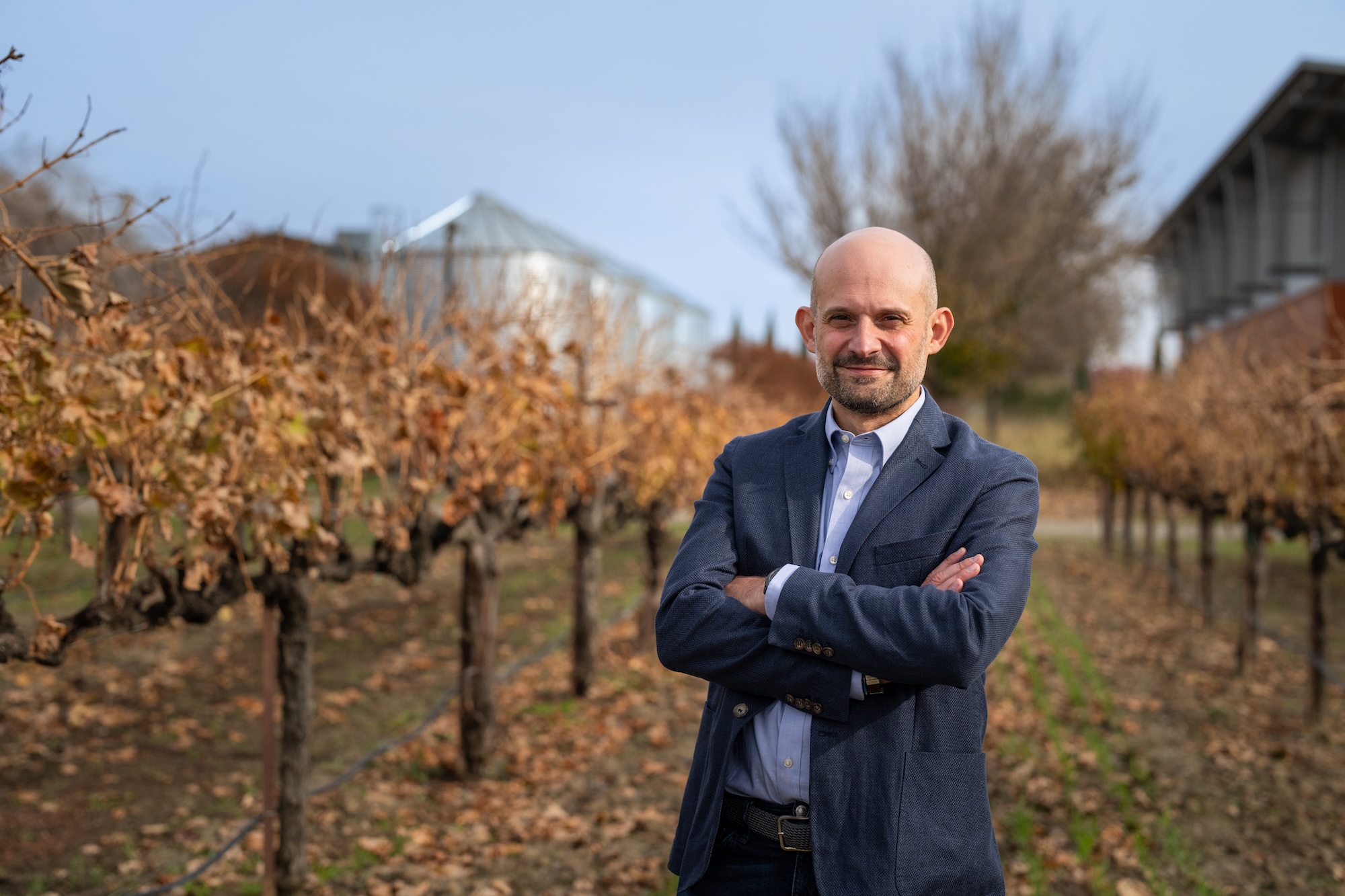 Professor Dario Cantù, of the UC Davis Department of Viticulture and Enology, is shown standing with his arms crossed at a UC Davis vineyard. He wears a dark blue blazer and light blue shirt and fall-colored vines are in the background. He used advanced genome sequencing to discover that chemical switches that help control how genes turn on and off, known as epigenetic marks, can persist for centuries in a clonally-propogated crop. (Jael Mackendorf / UC Davis)