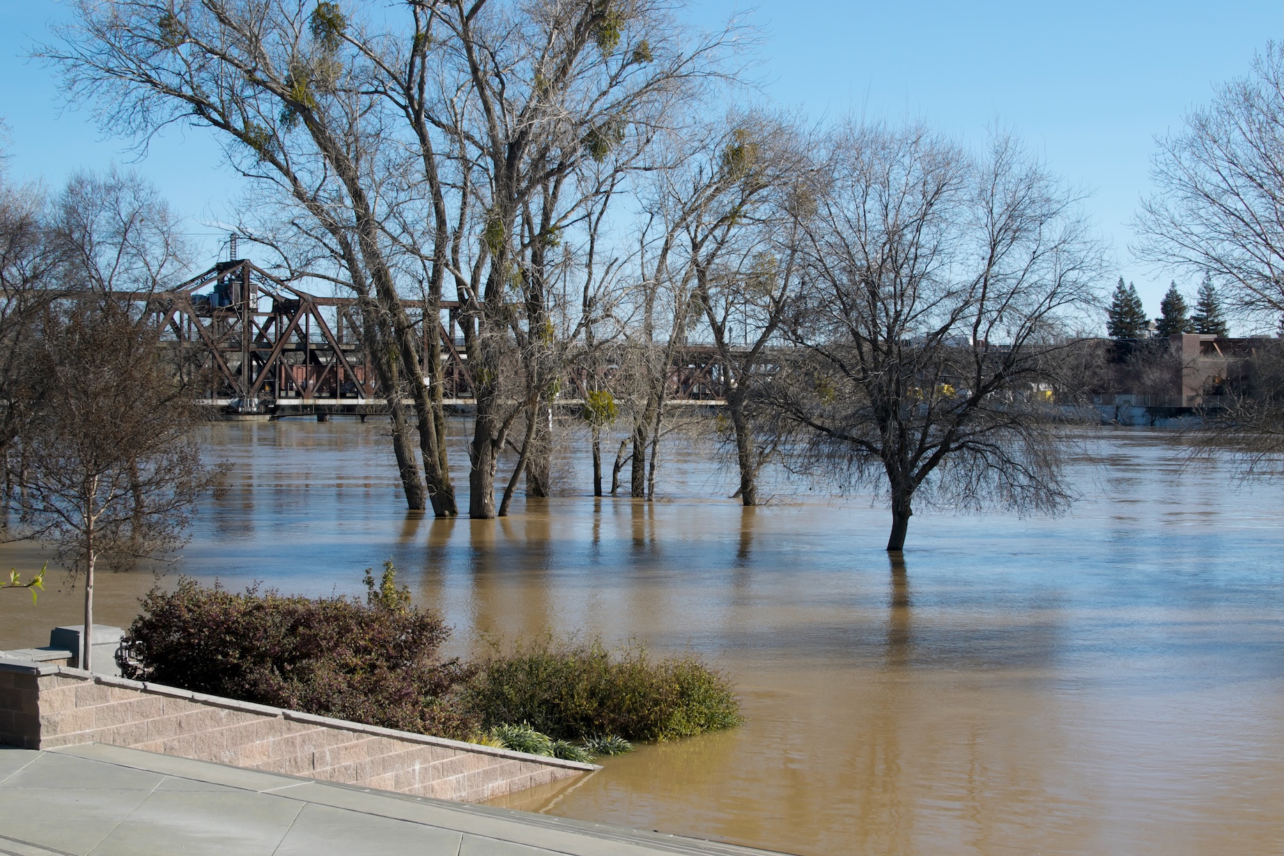 Riverside flood with bare trees partially submerged in muddy water under blue sky