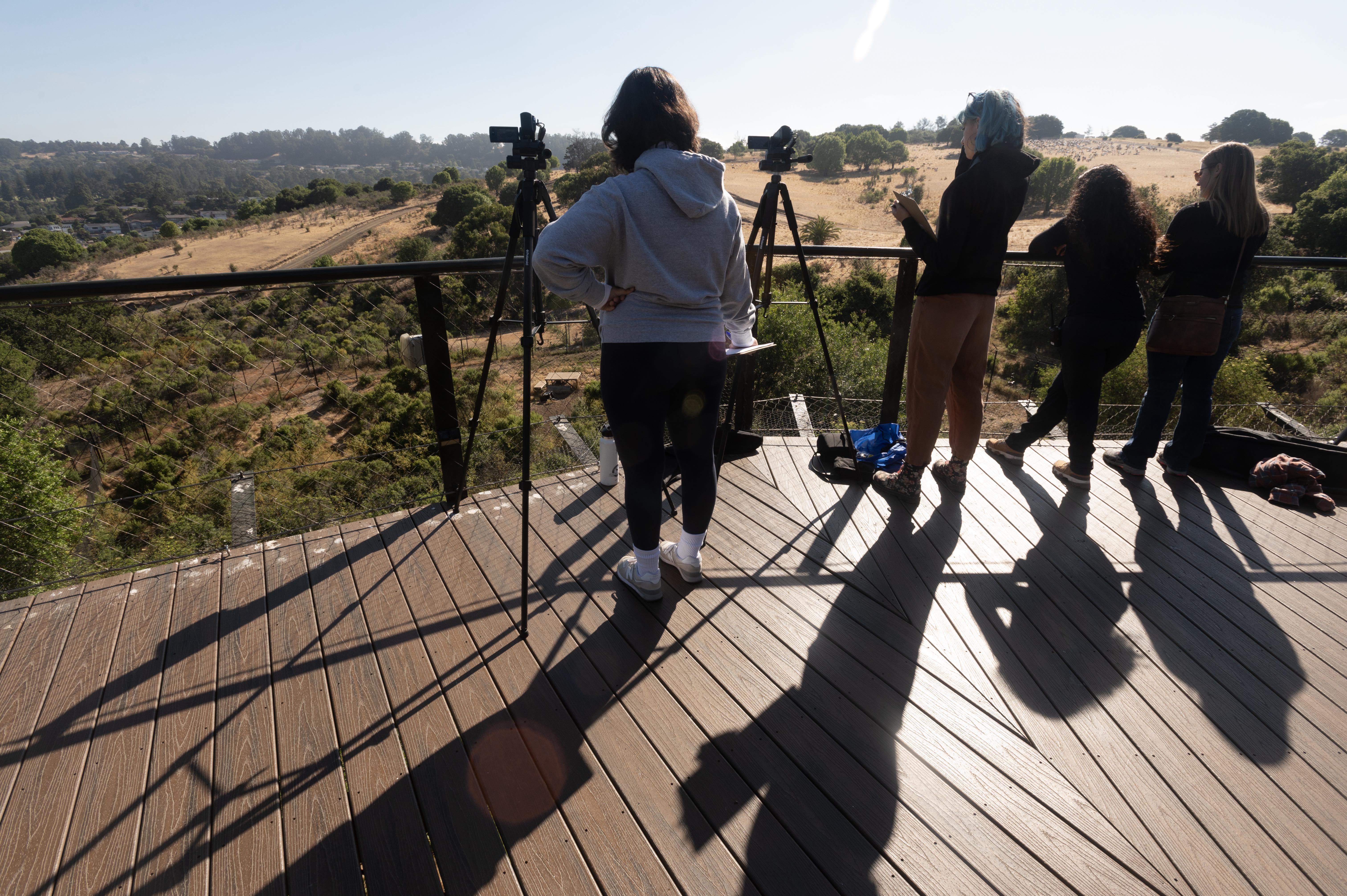 Research team overlooking gray wolf habitat at Oakland Zoo