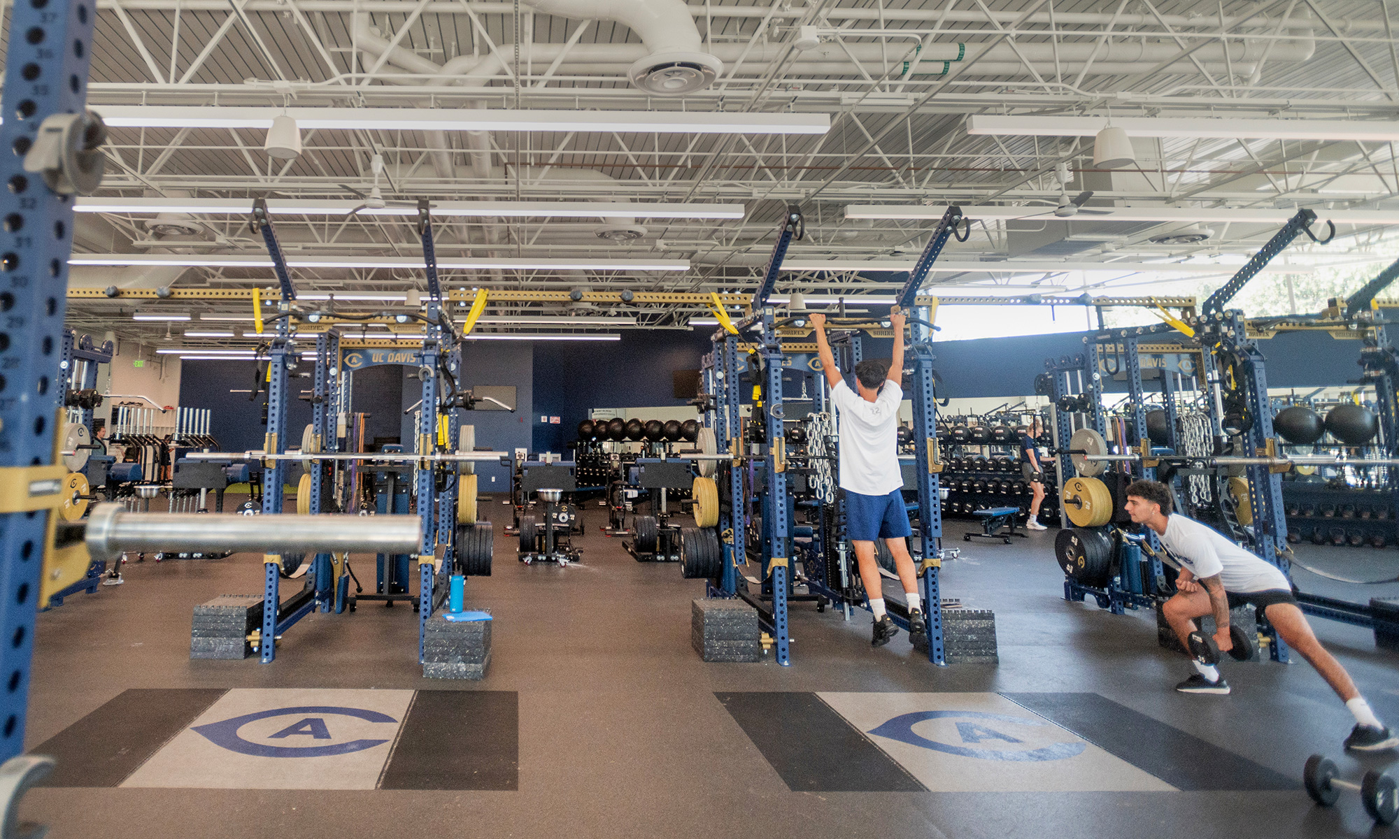 Students work out in a gym with weights and weight machines