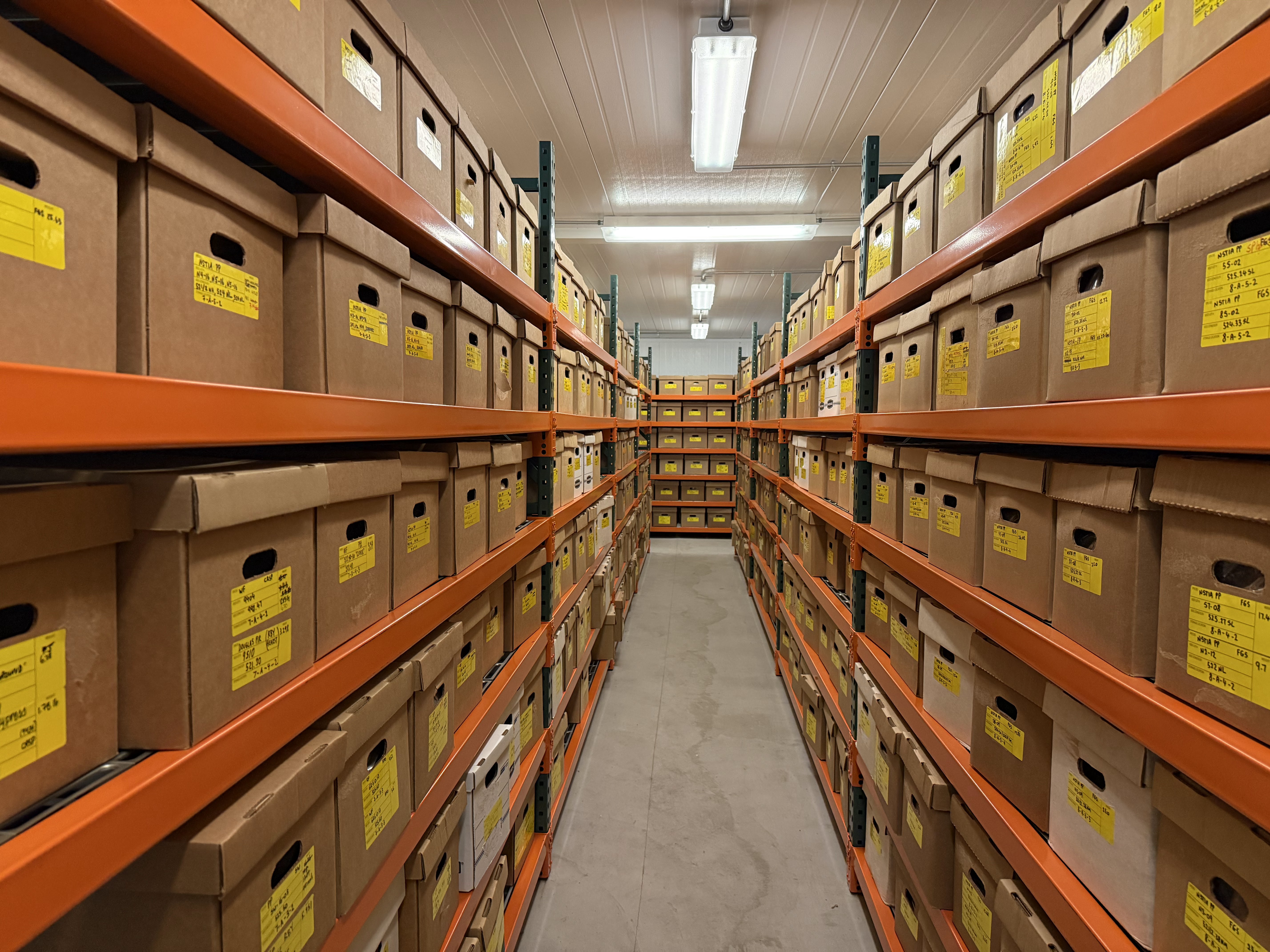 rows of boxes along orange shelves line a stretch of hallway inside a tree nursery's freezer