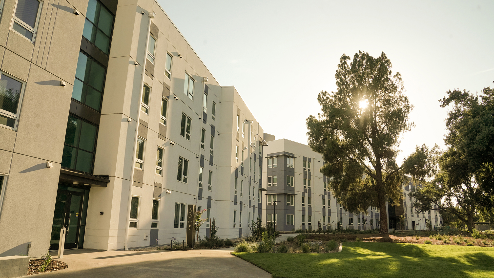 A four story apartment building with sun breaking through a nearby tree