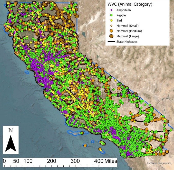 Map of roadkill reports