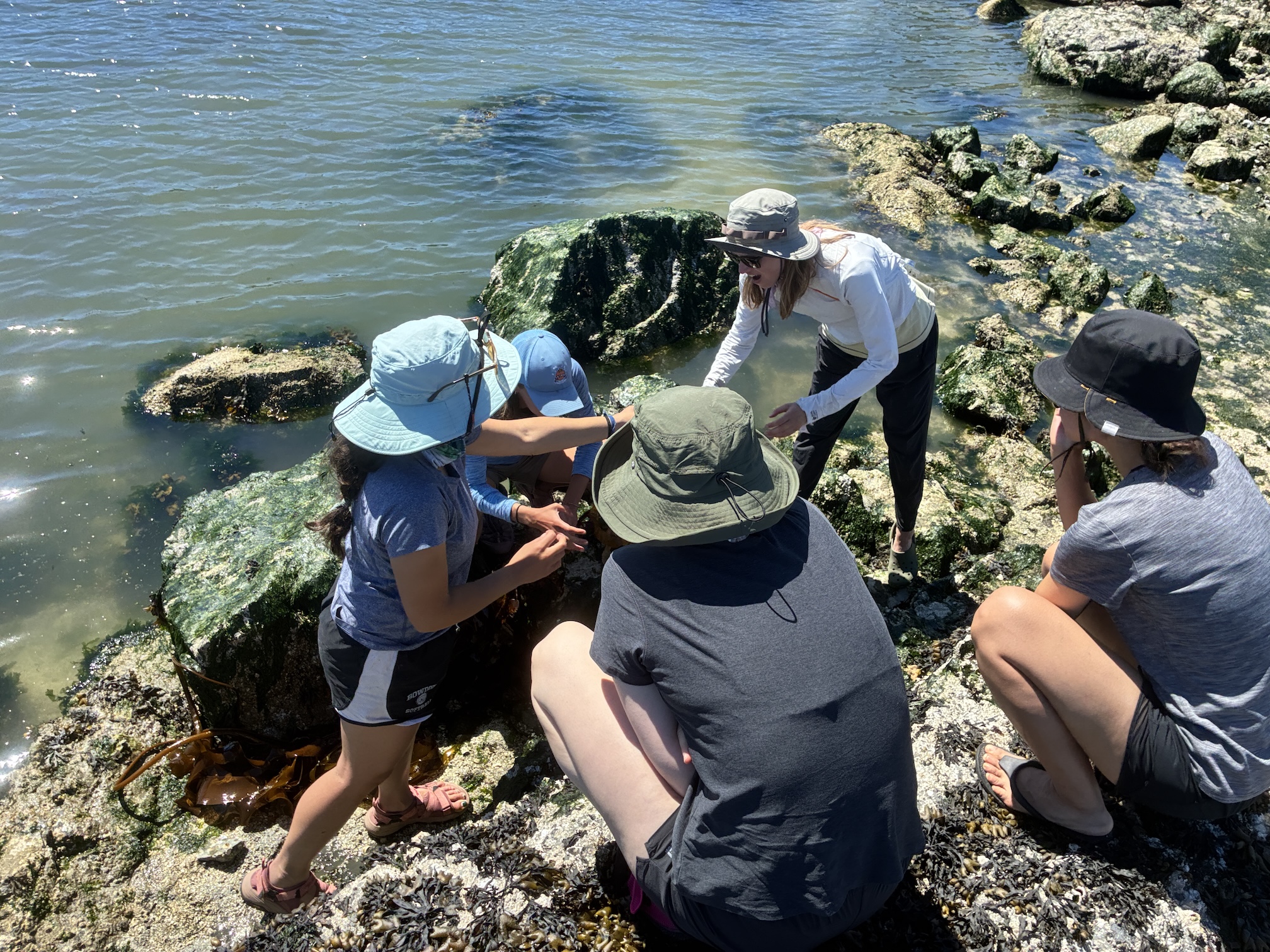 People in sun hats examining a tidepool on a rocky shoreline