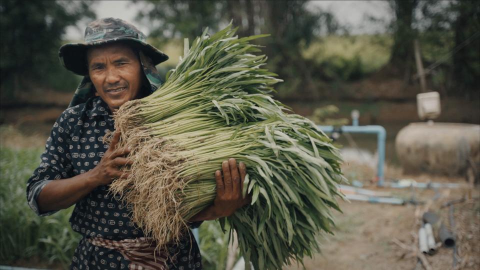 Cheang Sophat collets spinach