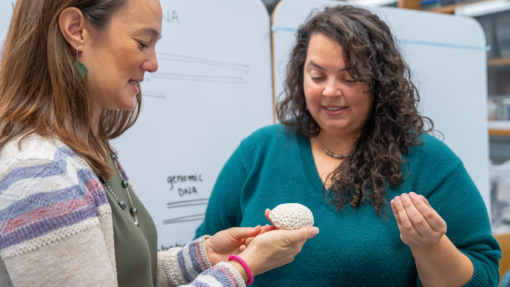 Two people stand in front of a white board and hold a coral