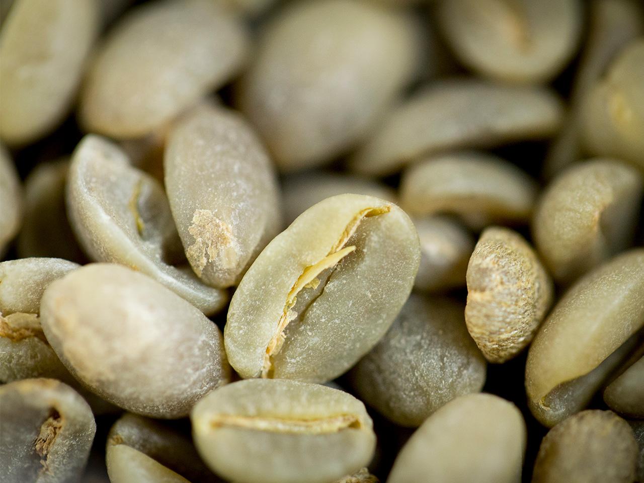 A closeup photo of green coffee beans, which are a light pistachio color.