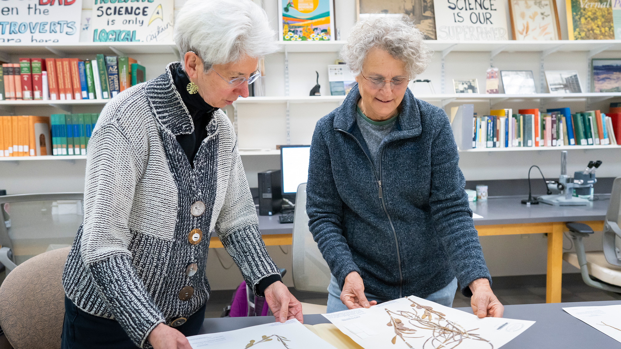 Two women examine botanical sketches and dried plants