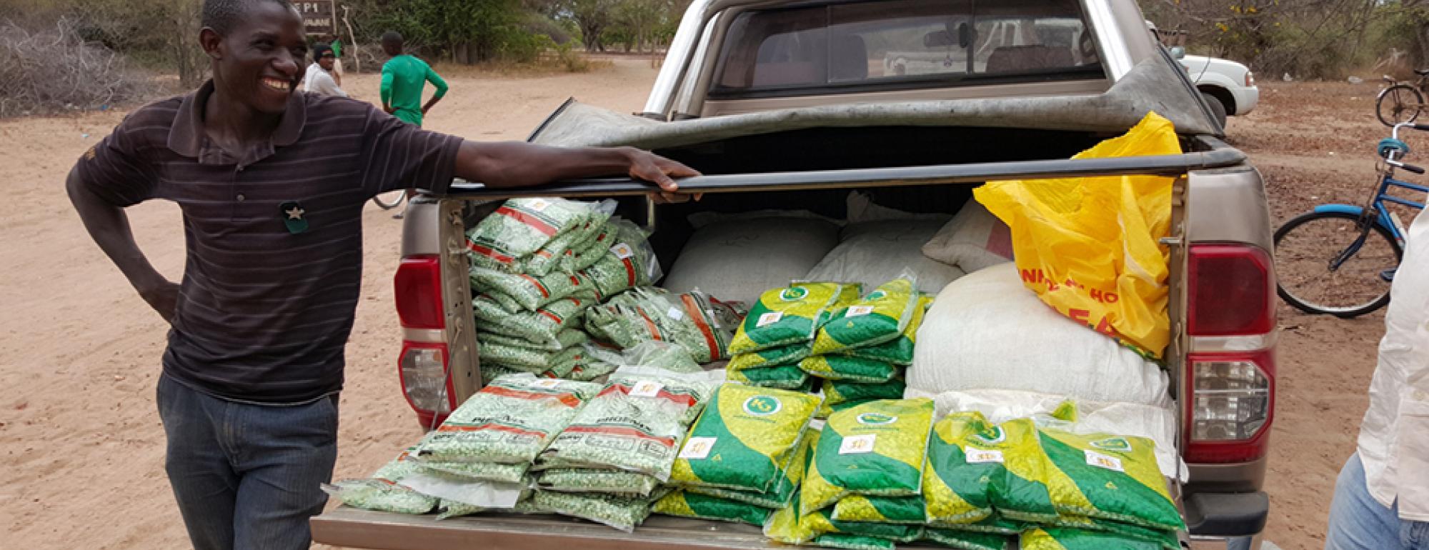 seeds in back of truck