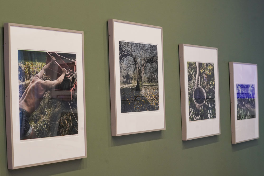 photos in frames on wall in museum