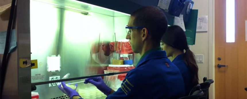 two students working in a lab as part of the Food Science and Technology program