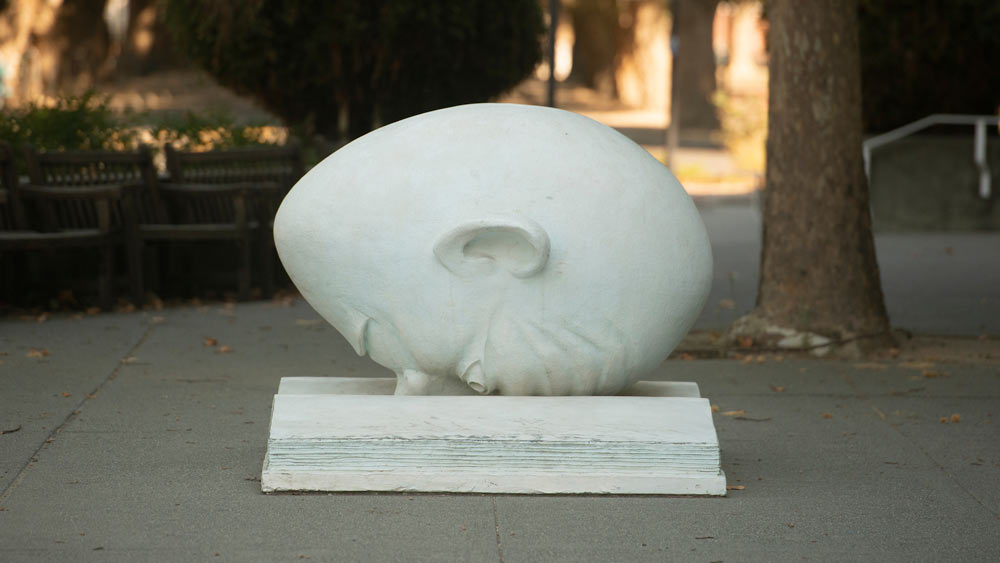 An egghead with its face buried in a book outside of shields library