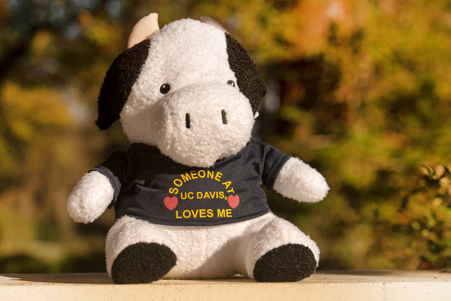 Plush cow