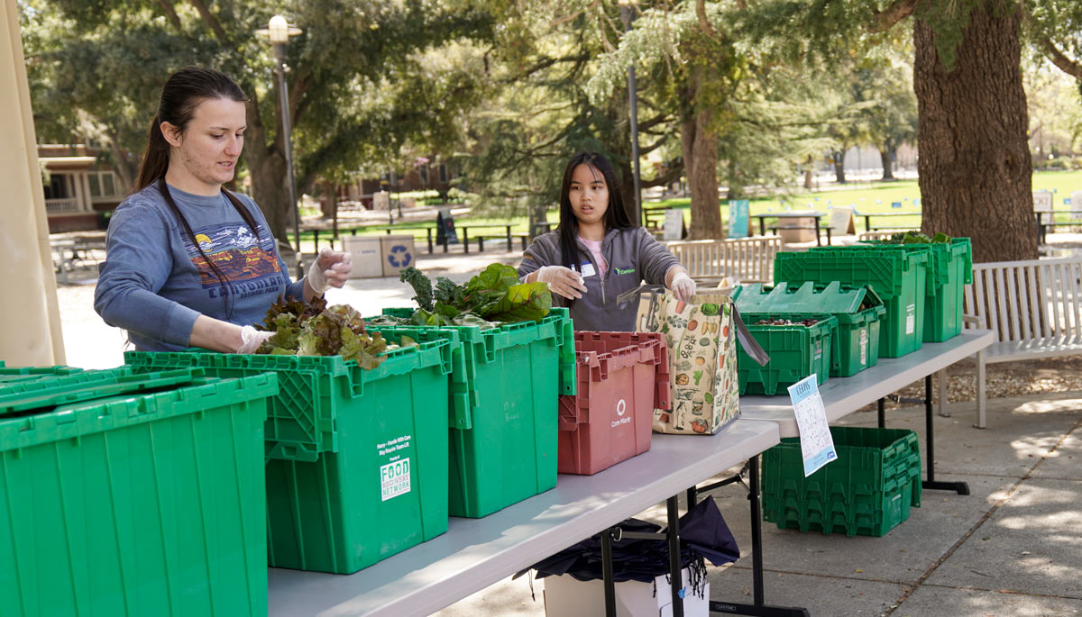 Food distribution at the Memorial Union