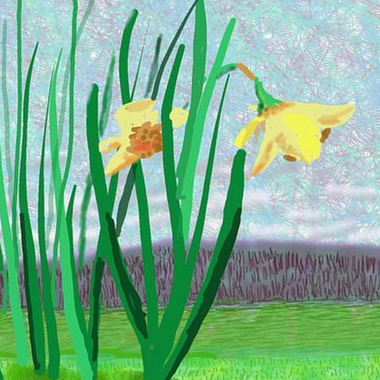 David Hockney painting of flowers