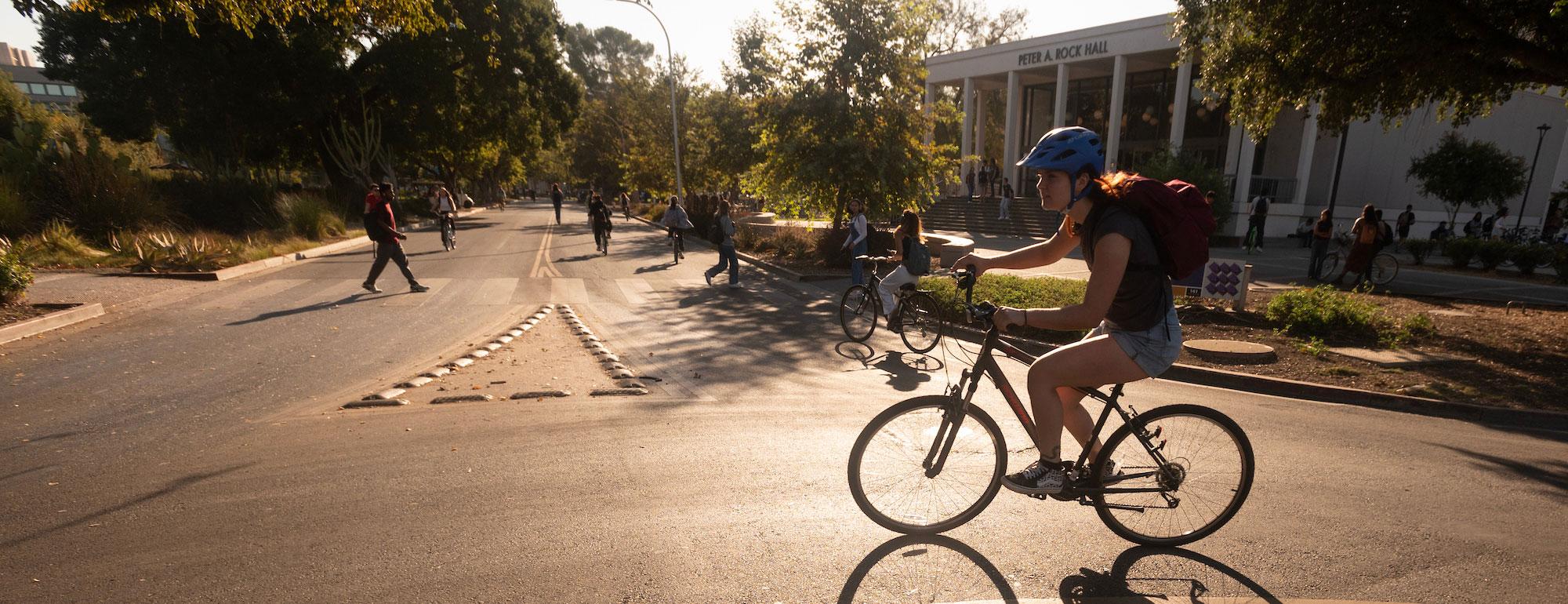 A helmeted bicycle rider rounds a circle on the UC Davis Campus