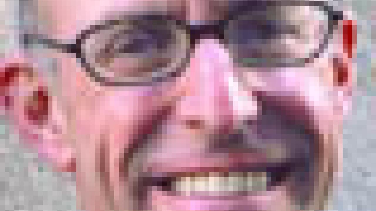 Pollan