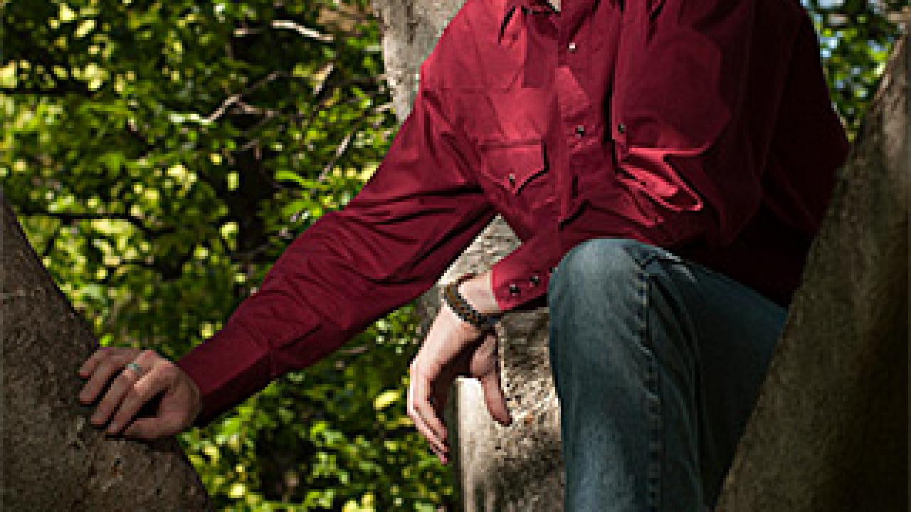 Man in tree