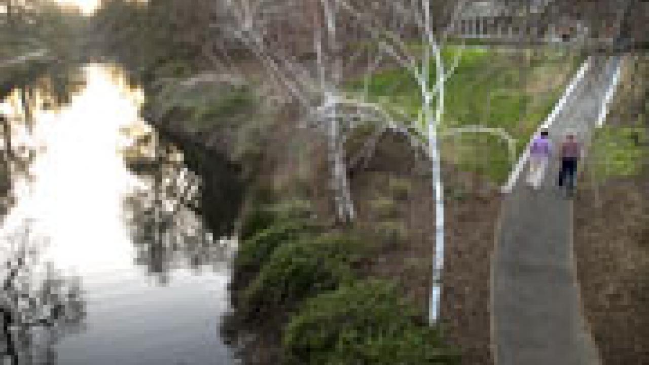 arb
