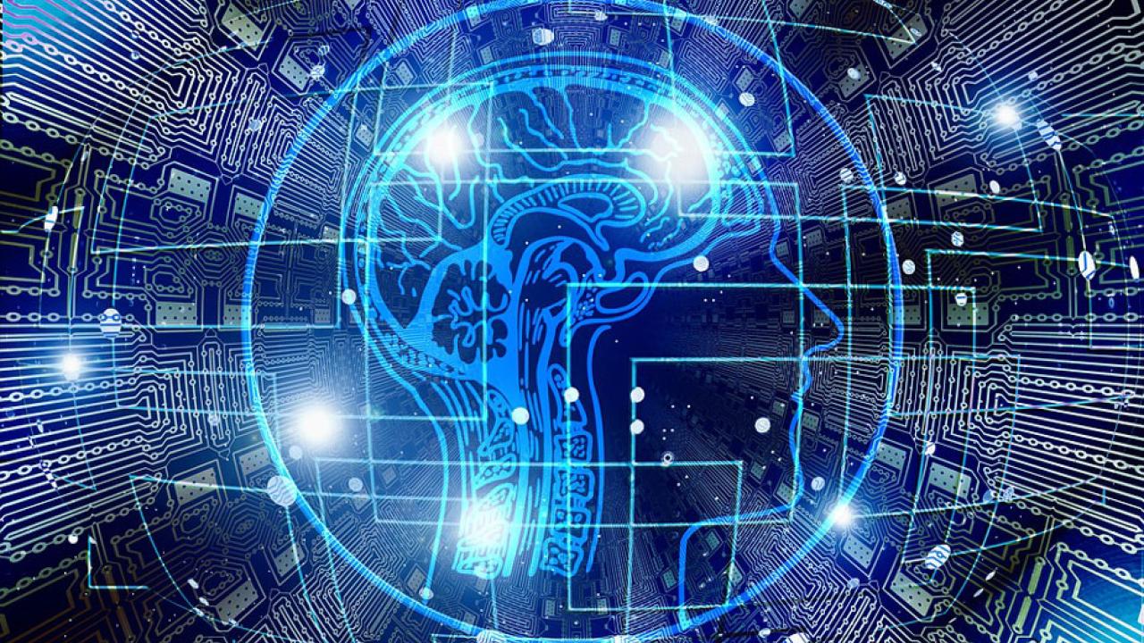 Drawing of head and brain, like a blueprint