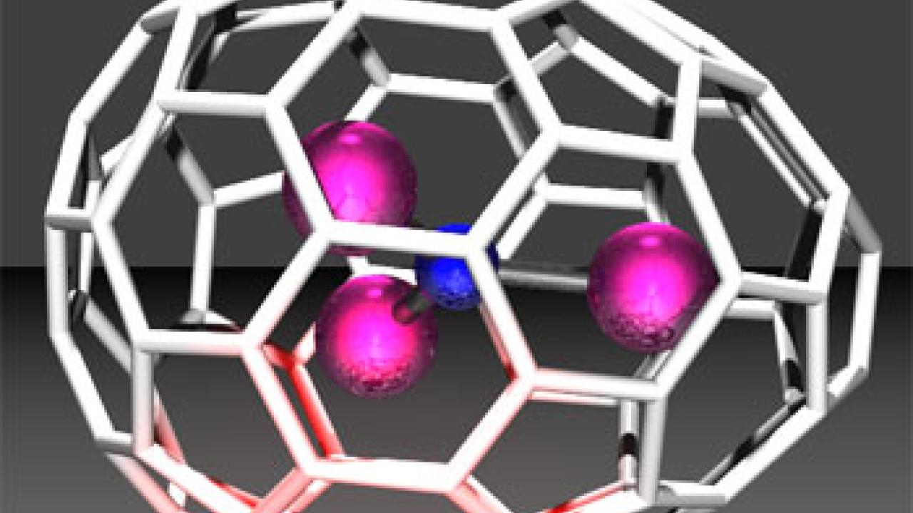 graphic: purple and blue balls inside an egg-shaped structure