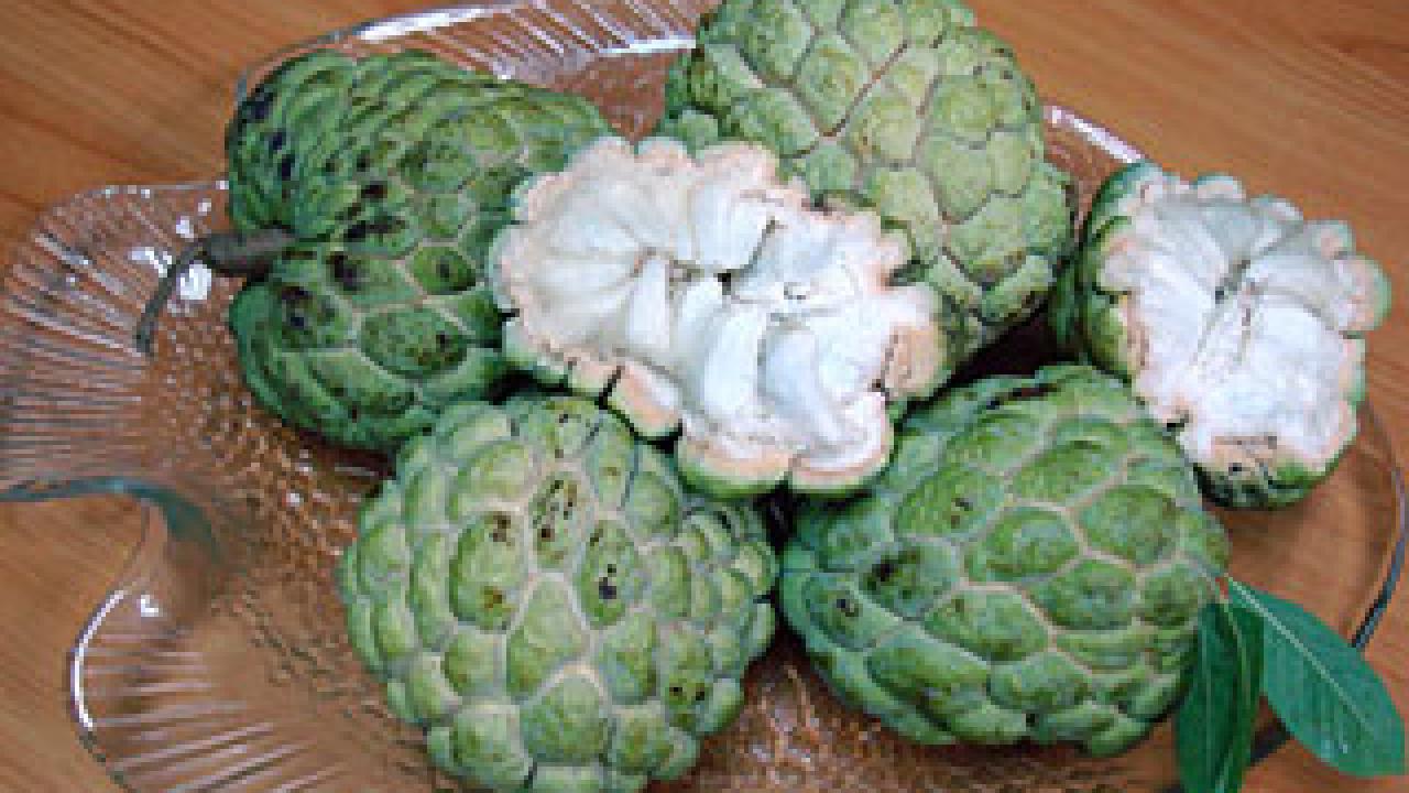 Photo: plate full of cherimoya fruit with a few split open