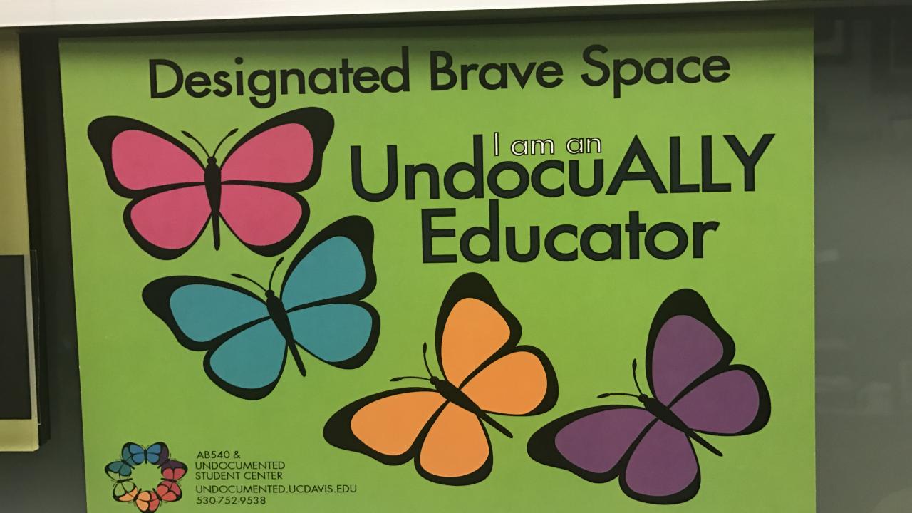 UndocuAlly Placard 