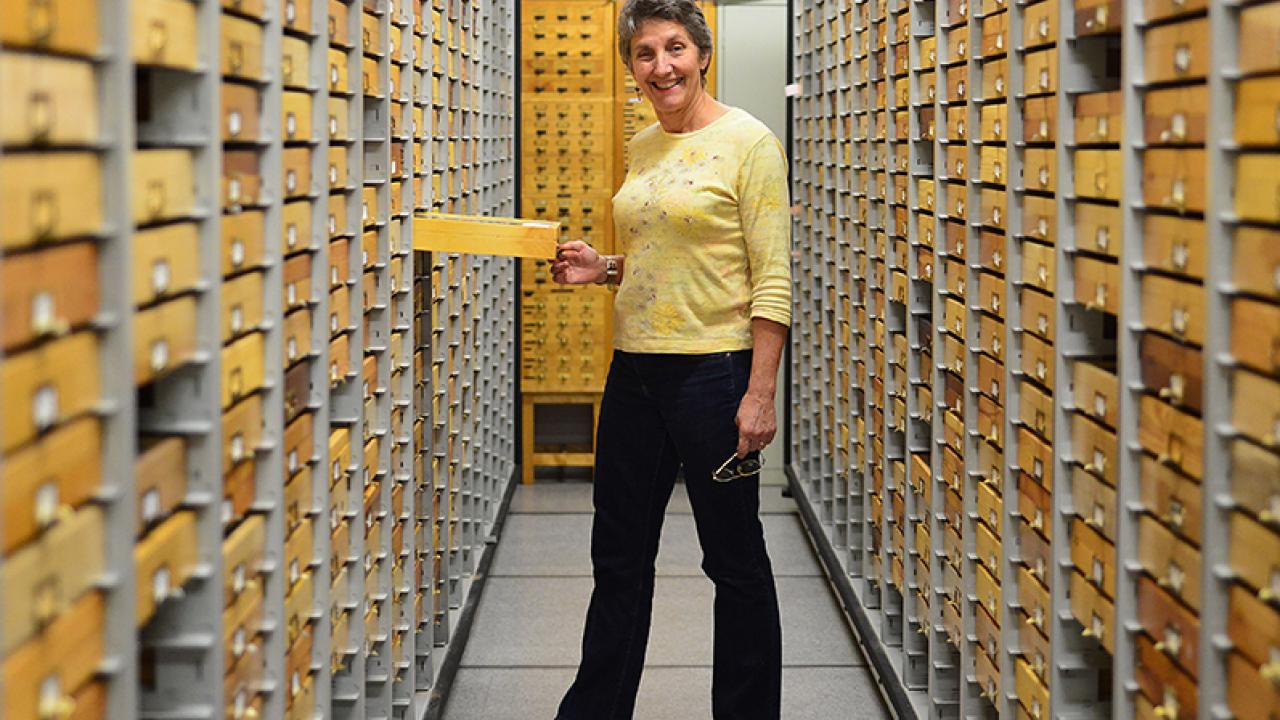 Photo: Lynn Kimsey amid specimen drawers.