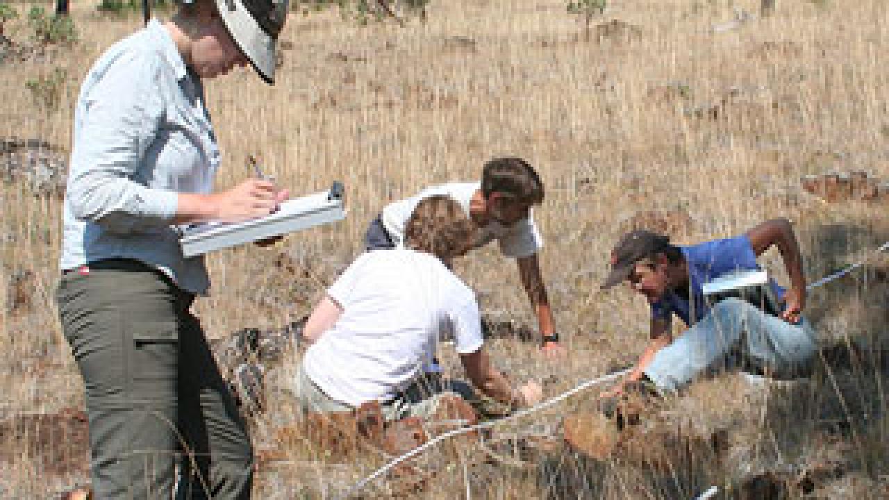 Photo: Woman watching as people sit on ground checking plants