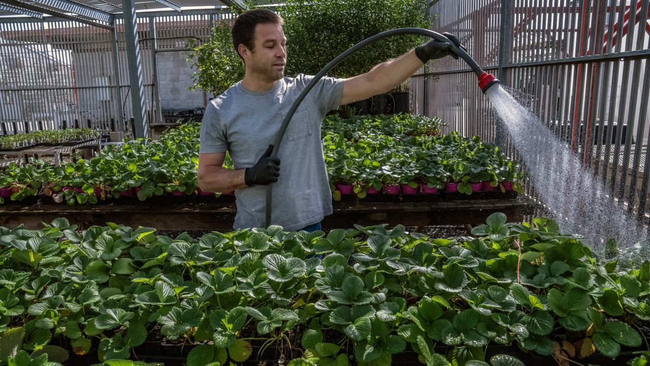 Man waters plants.