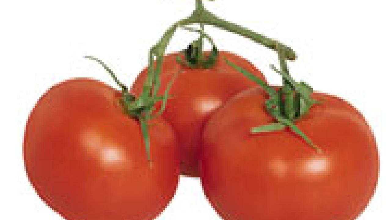 Photos: three tomatoes