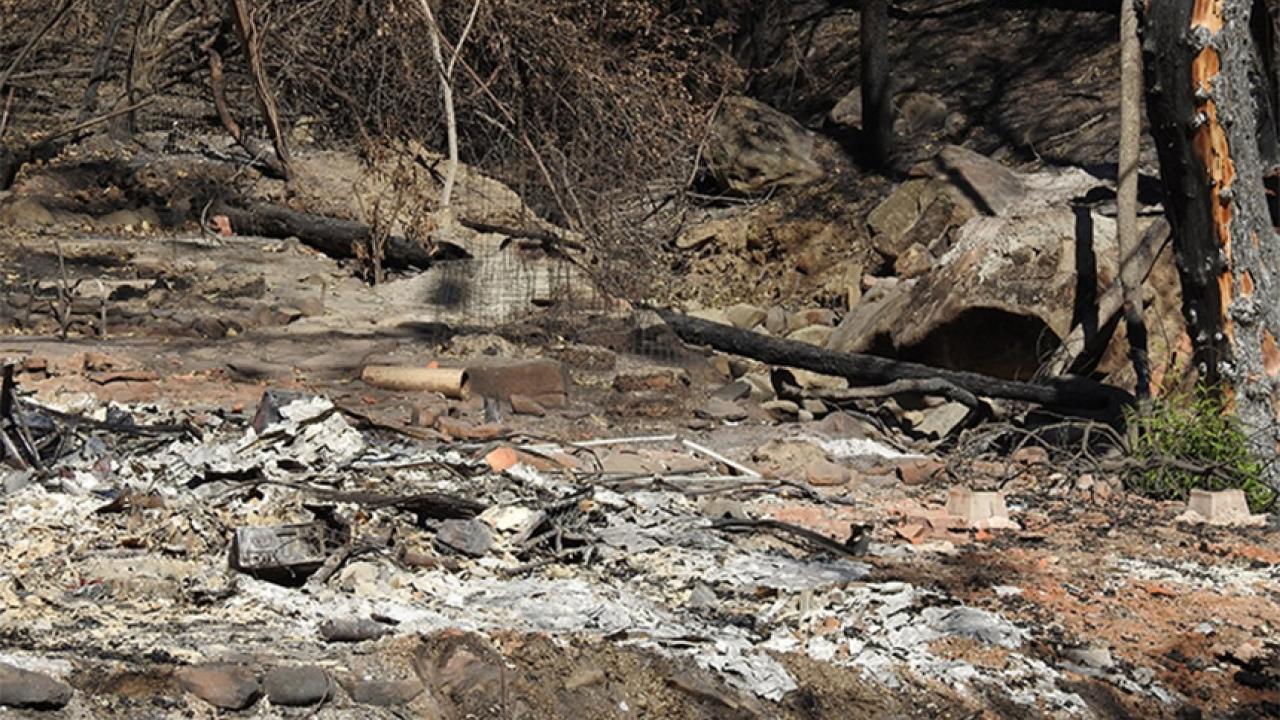 The aftermath of a wildfire.