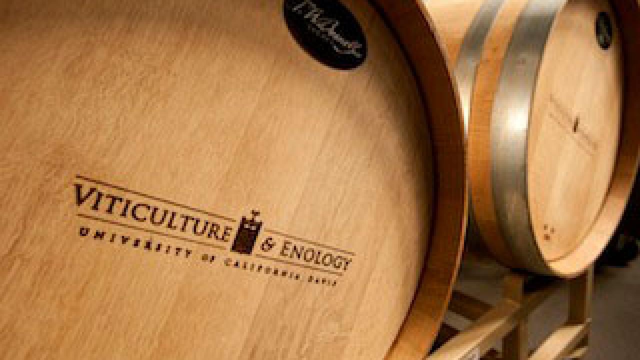 wine barrels