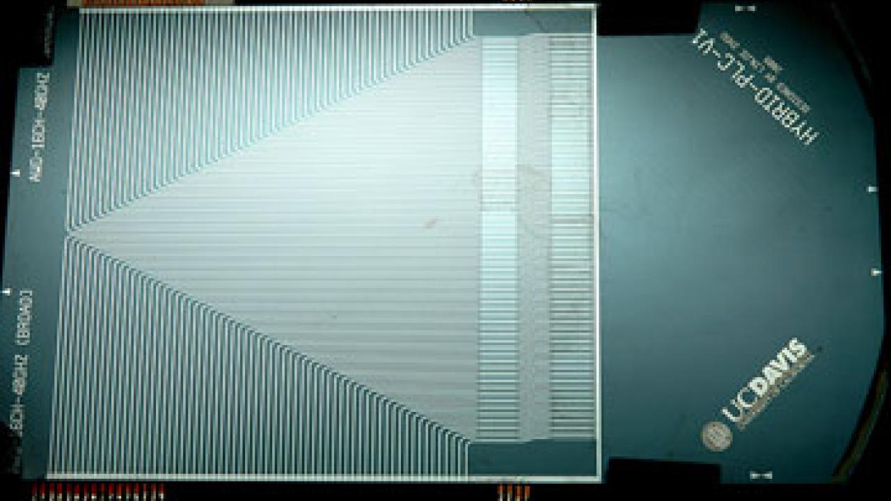 Photo: optical chip