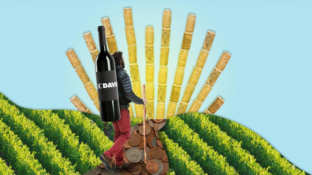 Photo illustration of a man hiking over a hill into the sunrise. The road is paved with pennies, the hills are vineyards and the sun's rays are wine corks. He carries a giant UC Davis wine bottle on his back.