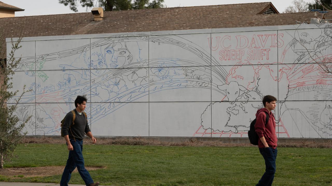 Two students walk past a large, colorful mural on a wall in a grassy area.