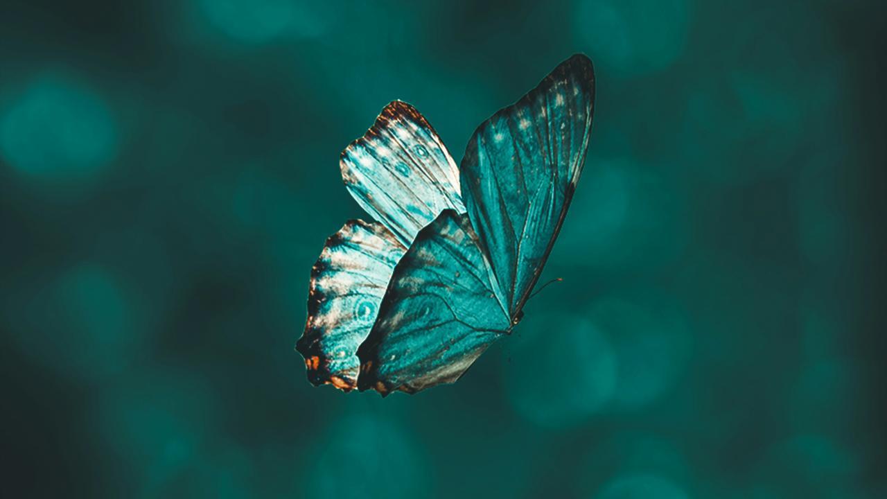 (Aarn Giri/ Unsplash)