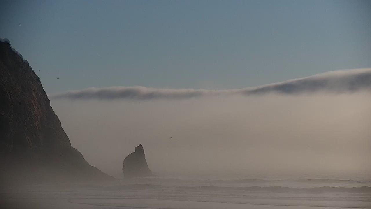 Foggy coastal scene with towering cliff and distant sea stack, muted dawn light