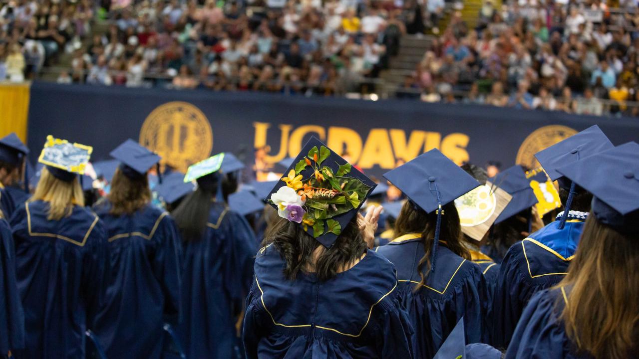 Turning College Into a Career UC Davis
